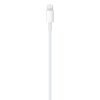 APPLE LIGHTNING CABLE